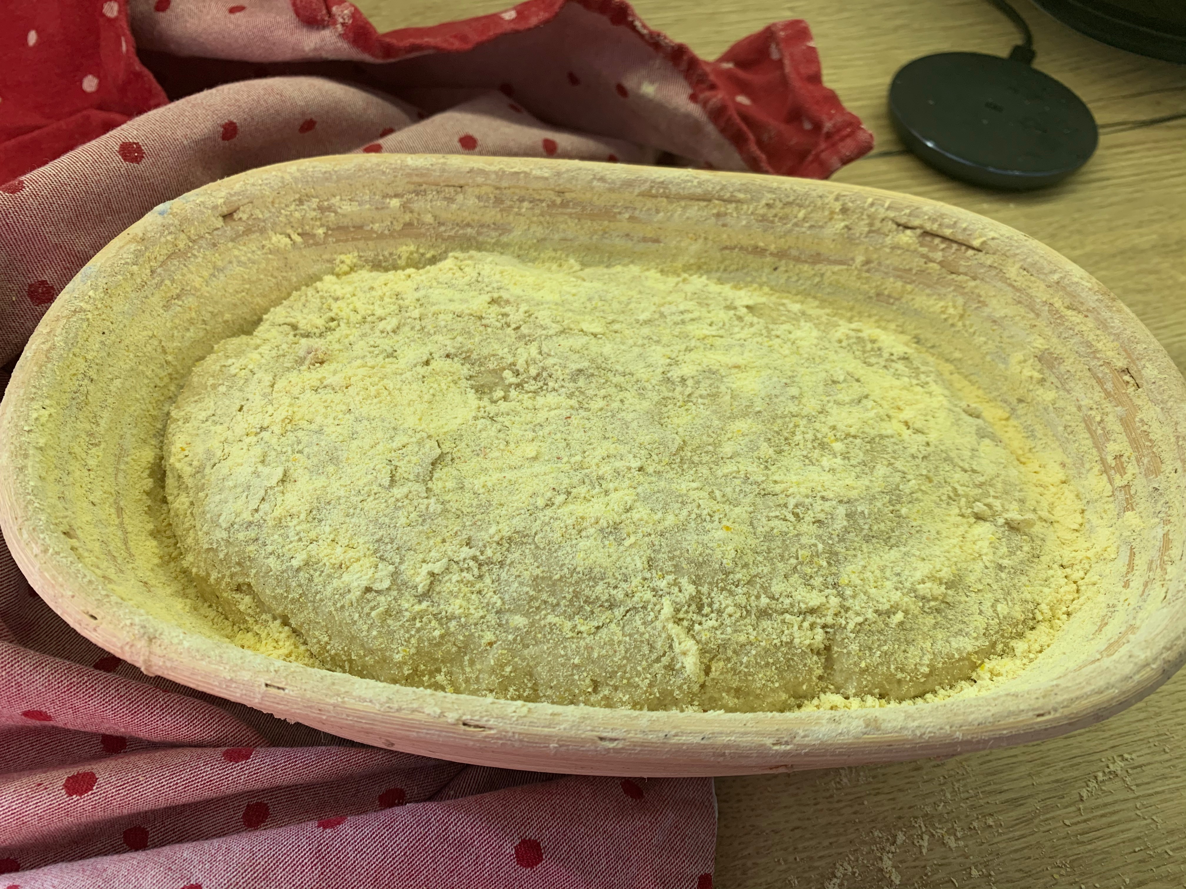 Dough before rising.